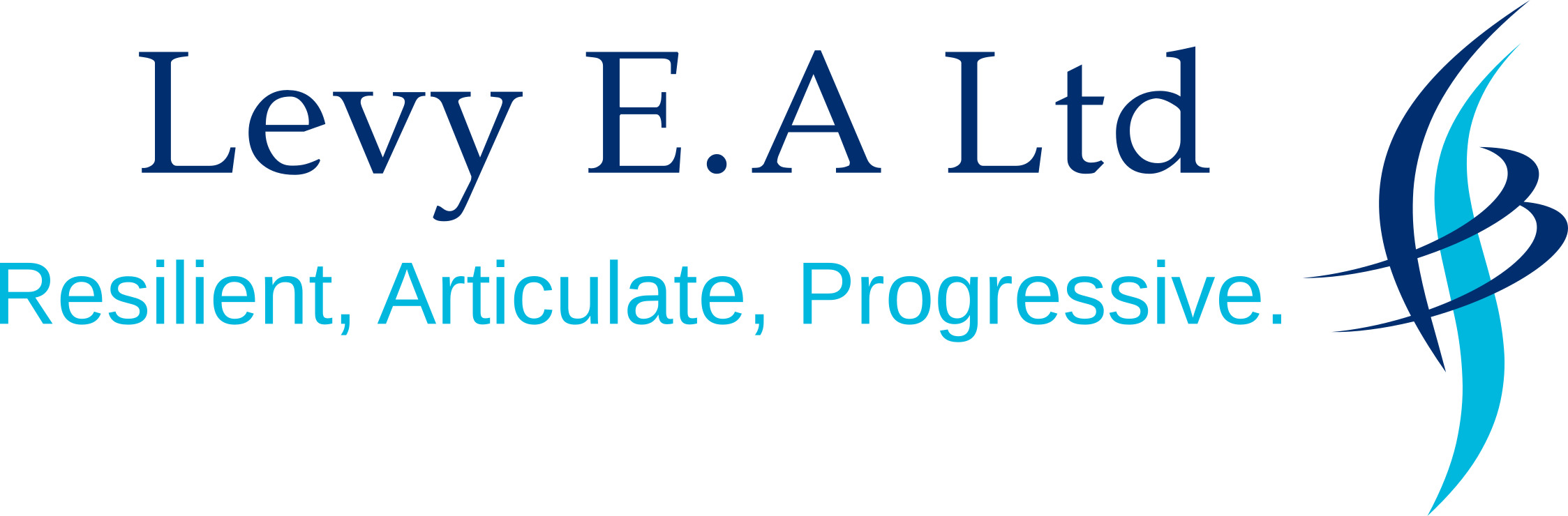 Levy E.A Ltd